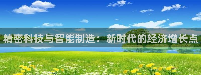 彩神网合法吗：精密科