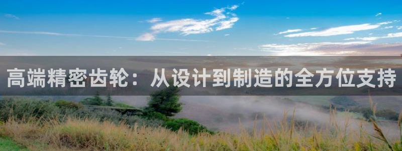 彩神v8有多久了?靠谱吗：高端精密齿轮：从设计到制造的全方位支持