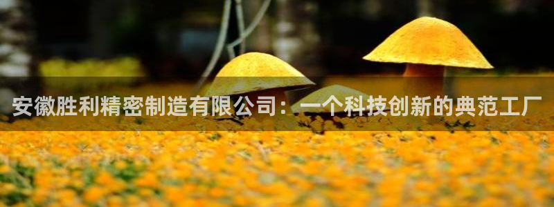 彩神通官方网：安徽胜利精密制造有限公司：一个科技创新的典范工厂