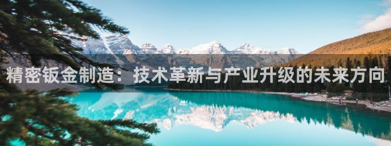 彩神是真的吗：精密钣金制造：技术革新与产业升级的未来方向