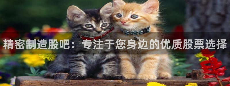 彩神8是正规平台吗知乎