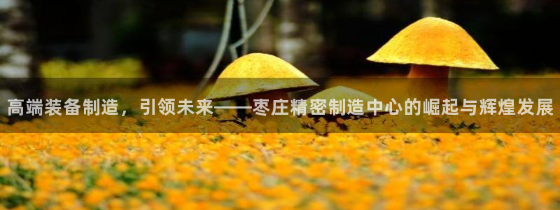 彩神旗下有哪些平台可以玩：高端装备制造，引领未来——枣庄精密制造中心的崛起与辉煌发展