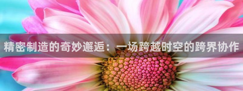 彩神官方邀请码是多少：精密制造的奇妙邂逅：一场跨越时空的跨界协作