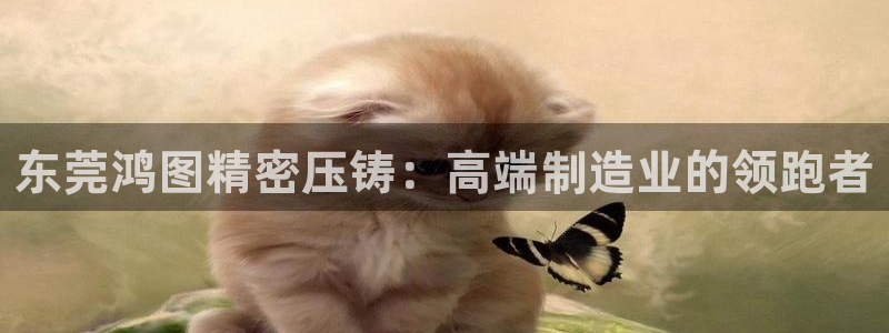 彩神旗下有哪些平台可以玩：东莞鸿图精密压铸：高端制造业的领跑者