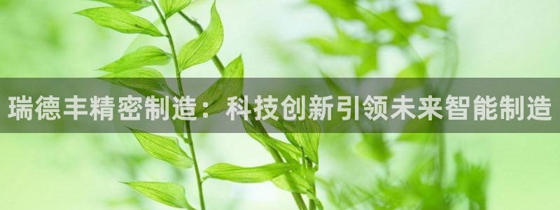 大发彩神官网下载：瑞德丰精密制造：科技创新引领未来智能制造