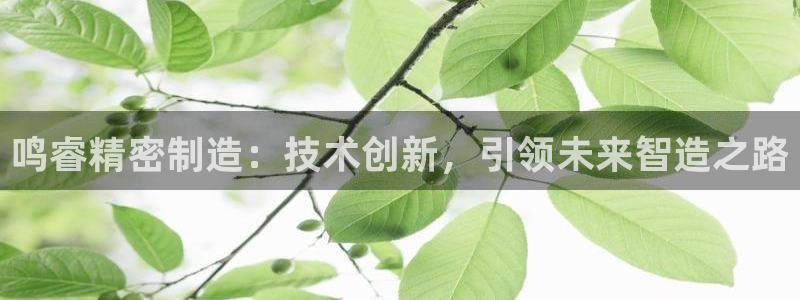 下载彩神通关注金码：鸣睿精密制造：技术创新，引领未来智造之路