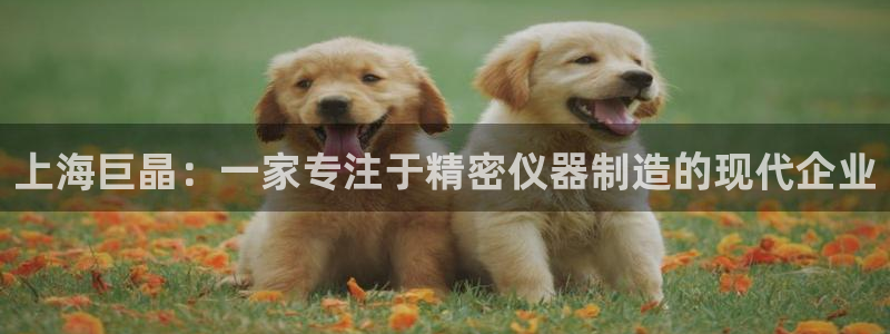 彩神ⅴll是什么样平台：上海巨晶：一家专注于精密仪器制造的现代企业