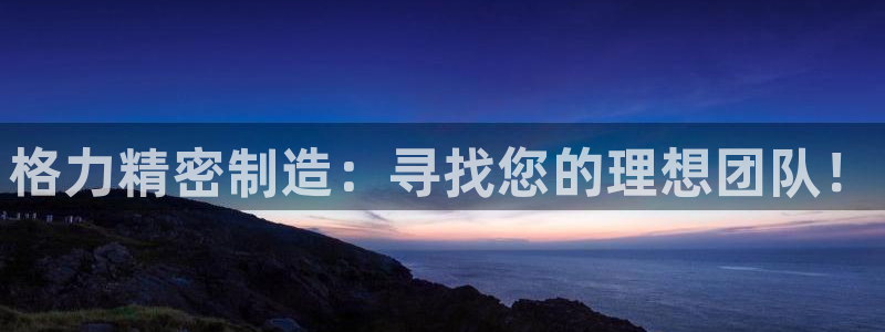 天天赢彩神：格力精密制造：寻找您的理想团队！