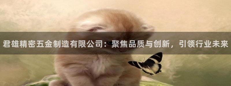 彩神VII购彩中心：君雄精密五金制造有限公司：聚焦品质与创新，引领行业未来