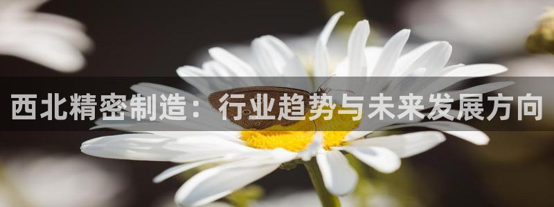 彩神v8客户端：西北精密制造：行业趋势与未来发展方向