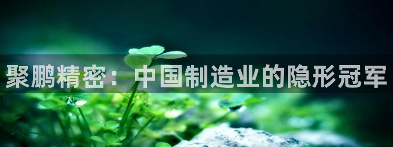 彩神V8平台：聚鹏精密：中国制造业的隐形冠军