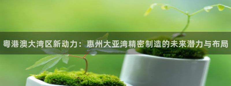 彩神v8手机客户端下载：粤港澳大湾区新动力：惠州大亚湾精密制造的未来潜力与布局