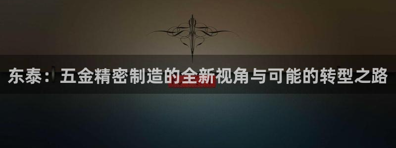 彩神是什么平台：东泰：五金精密制造的全新视角与可能的转型之路