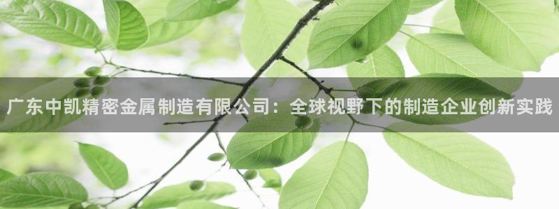 彩神v违法么：广东中凯精密金属制造有限公司：全球视野下的制造企业创新实践