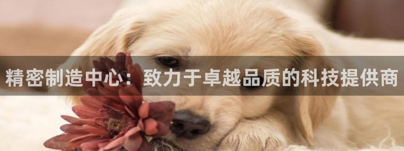 彩神vll首页环球：精密制造中心：致力于卓越品质的科技提供商
