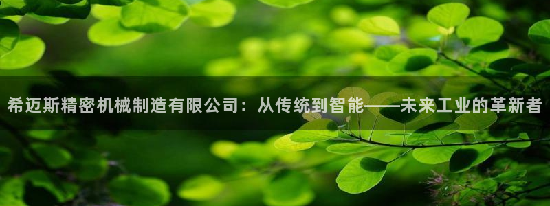 彩神V8平台：希迈斯精密机械制造有限公司：从传统到智能——未来工业的革新者