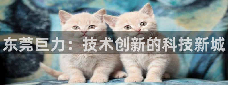 彩神v8平台正规吗安全吗：东莞巨力：技术创新的科技新城