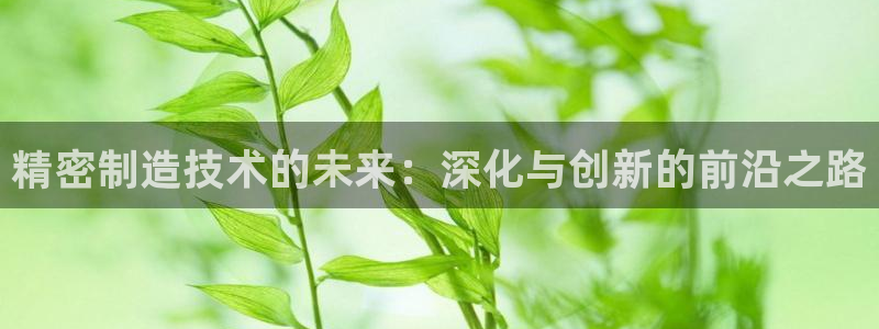 彩神V集团公司：精密制造技术的未来：深化与创新的前沿之路