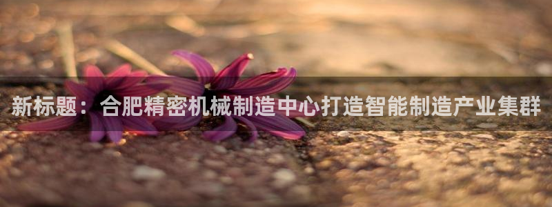 彩神v网赌软件下载：新标题：合肥精密机械制造中心打造智能制造产业集群