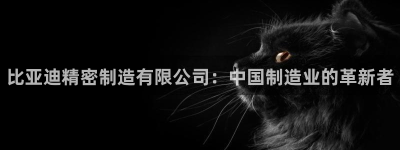 彩神赢钱了吗是真的吗：比亚迪精密制造有限公司：中国制造业的革新者