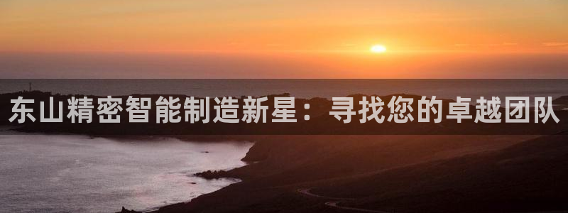 大发彩神争：东山精密智能制造新星：寻找您的卓越团队