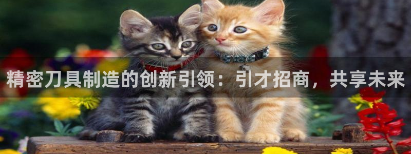 彩神vll购彩大厅大众：精密刀具制造的创新引领：引才招商，共享未来