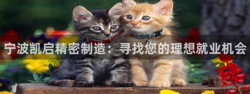 彩神8是正规平台吗安全吗