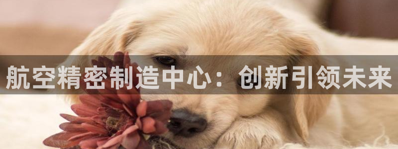 彩神盈利图片