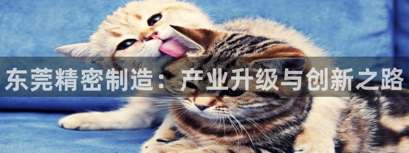 有谁知道彩神争霸的网址