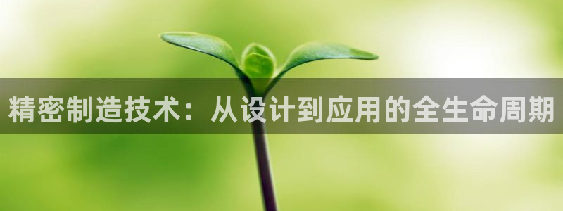 彩神赢的钱是哪里来的：精密制造技术：从设计到应用的全生命周期