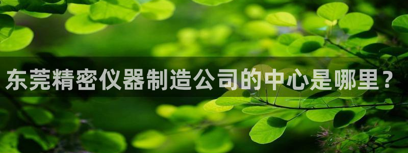 彩神通官方网：东莞精