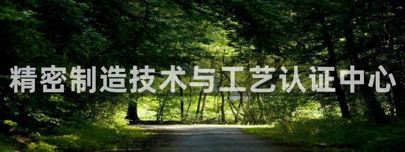 彩神v彩搜狗：精密制