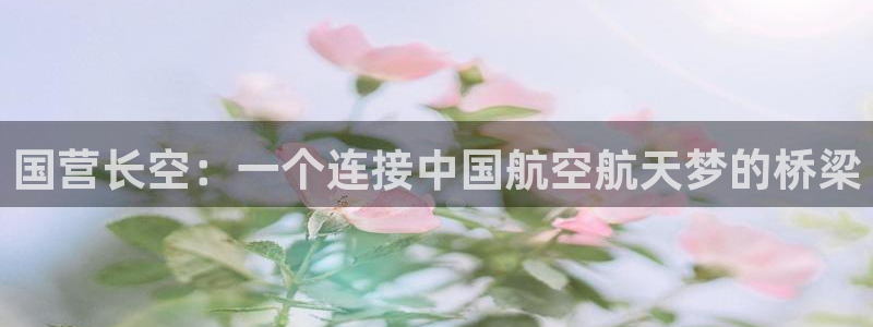 彩神购彩-购彩大厅入口500：国营长空：一个连接中国航空航天梦的桥梁