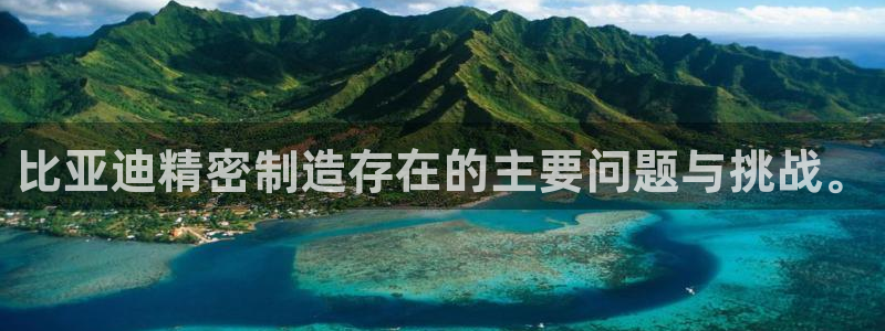 彩神8彩平台客服：比亚迪精密制造存在的主要问题与挑战。