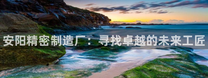 彩神8是正规平台吗：安阳精密制造厂：寻找卓越的未来工匠