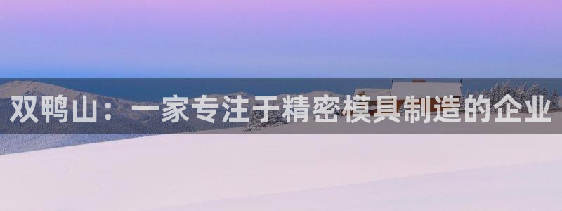 彩神vll首页：双鸭山：一家专注于精密模具制造的企业