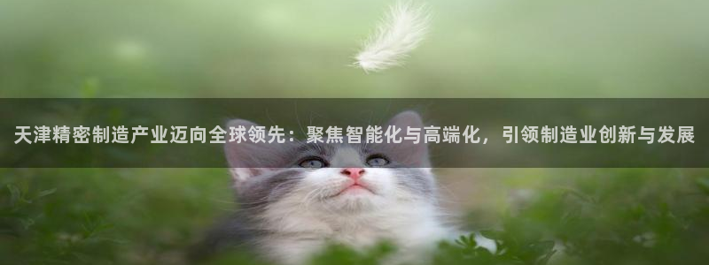 彩神购彩-购彩大厅入口下载：天津精密制造产业迈向全球领先：聚焦智能化与高端化，引领制造业创新与发展