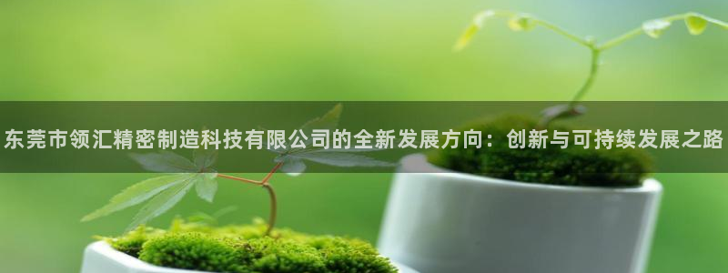 彩神v8是真的挣钱吗安全吗：东莞市领汇精密制造科技有限公司的全新发展方向：创新与可持续发展之路
