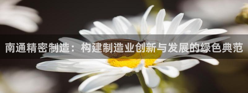 彩神vii购彩l心：南通精密制造：构建制造业创新与发展的绿色典范