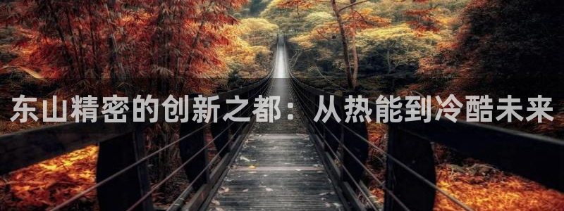 彩神大发三期计划网站：东山精密的创新之都：从热能到冷酷未来