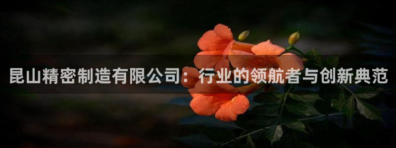 彩神通官网下载：昆山精密制造有限公司：行业的领航者与创新典范