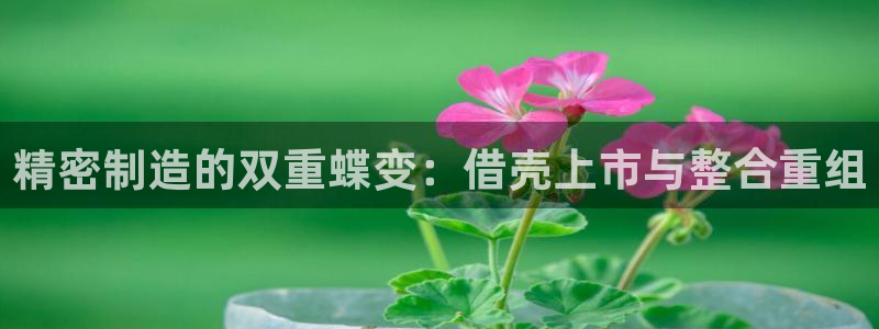 彩神viii官网：精密制造的双重蝶变：借壳上市与整合重组