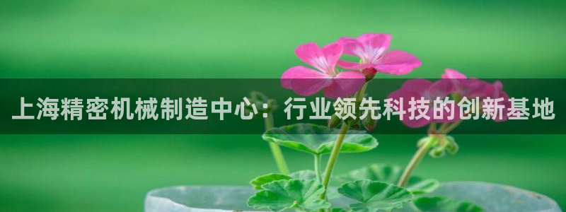 彩神官方邀请码是多少：上海精密机械制造中心：行业领先科技的创新基地