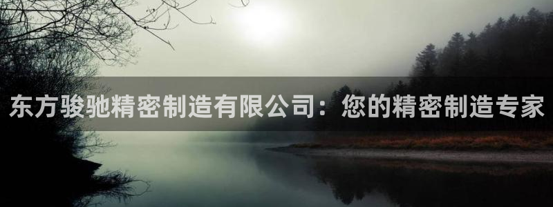 彩神v8下载：东方骏驰精密制造有限公司：您的精密制造专家