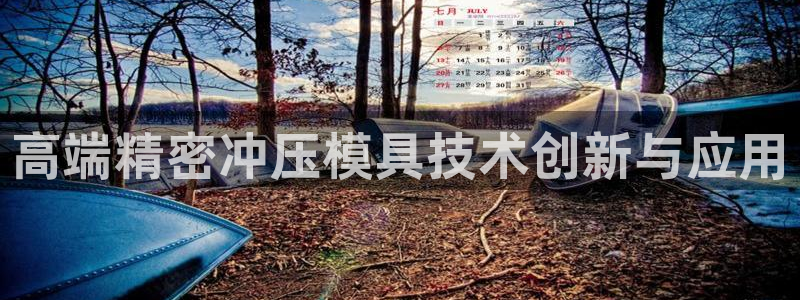 彩神vll趣投彩：高端精密冲压模具技术创新与应用