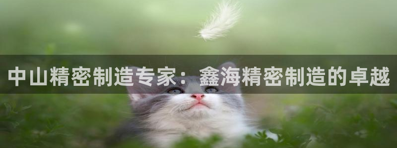 彩神vlll(中国)百度百科：中山精密制造专家：鑫海精密制造的卓越