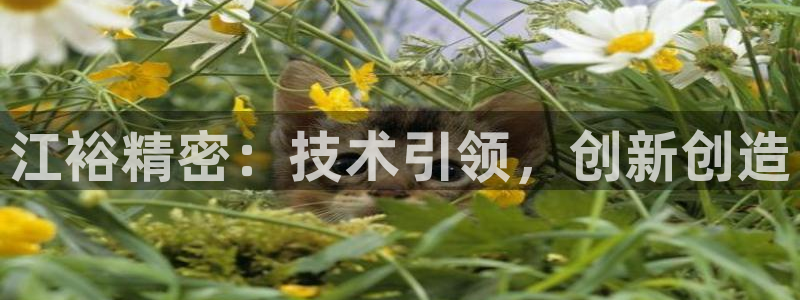 彩神v1破解器：江裕精密：技术引领，创新创造