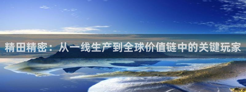 彩神旗下有哪些平台：精田精密：从一线生产到全球价值链中的关键玩家