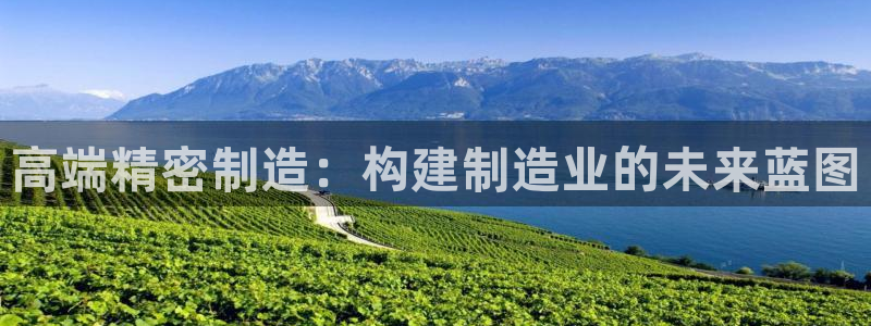 彩神购彩-购彩大厅入口下载：高端精密制造：构建制造业的未来蓝图