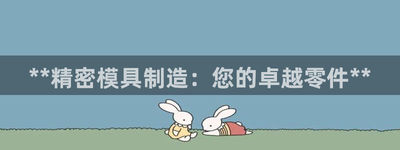 彩神赢了钱登录不上去：**精密模具制造：您的卓越零件**